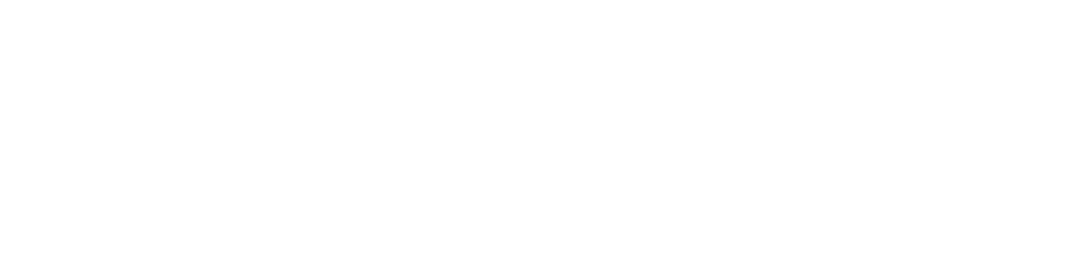 Solveers Tech